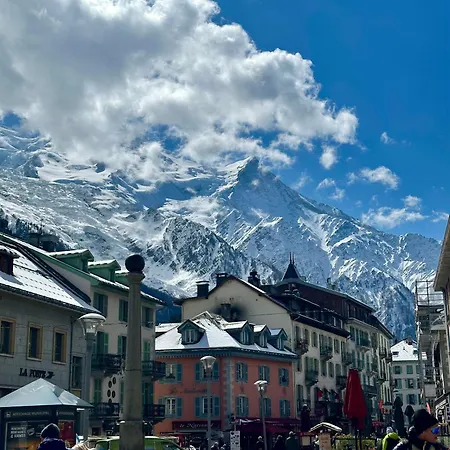 Vue Montblanc - Jardin Terrasse Et Parking * 霞慕尼